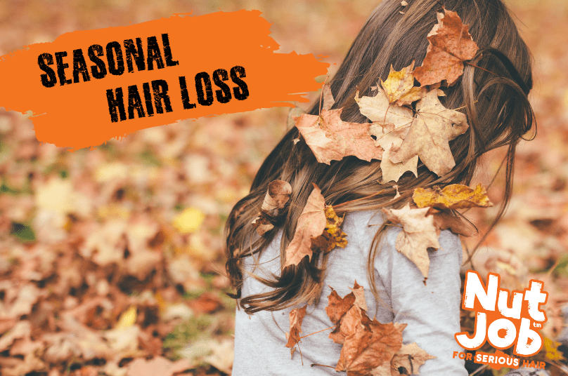 Seasonal Hair Loss - Nut Job Hair Building Fibres