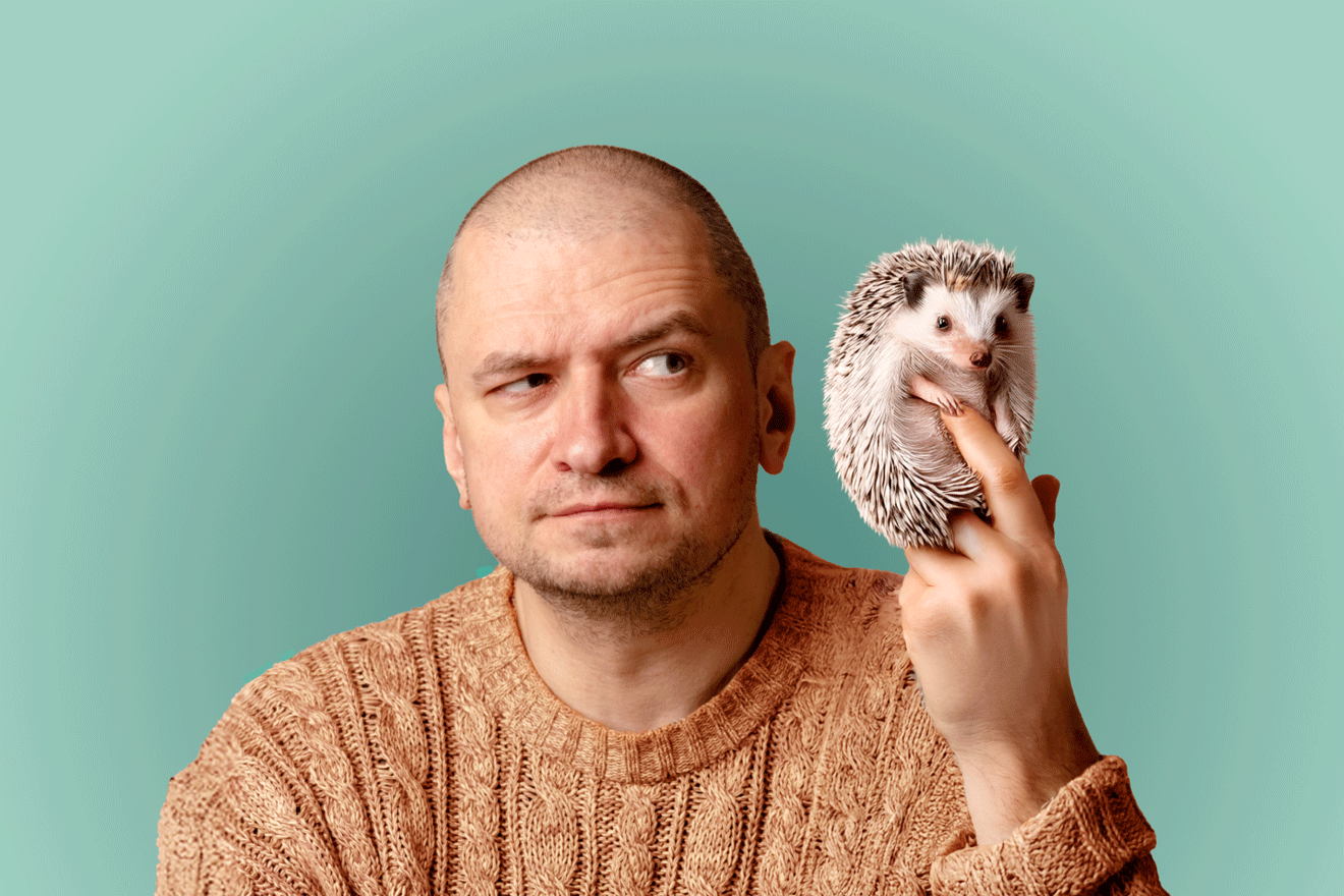 The Hilarious History of Hair Loss: From Hedgehogs to Electric Shocks - Nut Job Hair Building Fibres