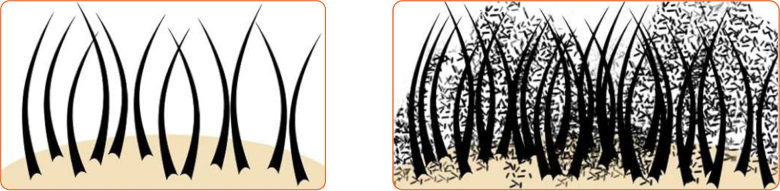 Nut Job Hair Building Fibres